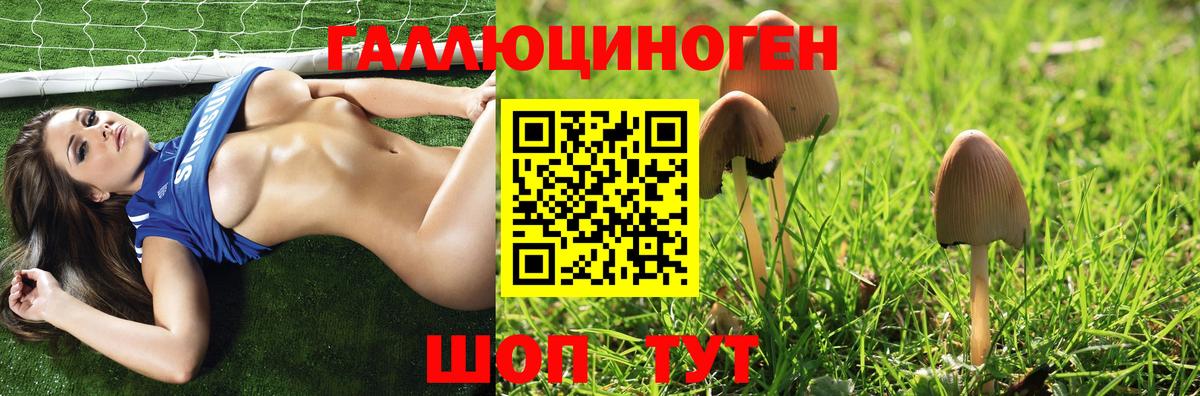 Псилоцибиновые грибы мицелий Лесосибирск