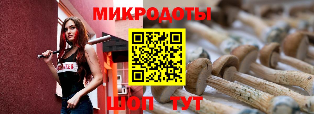 Лесосибирск  Галлюциногенные грибы ЛСД  Вход с VPN  Галлюциногенные грибы прущие грибы 